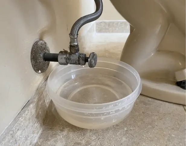 toilet_leak